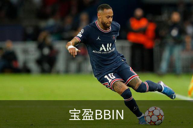 宝盈BBIN公司介绍
